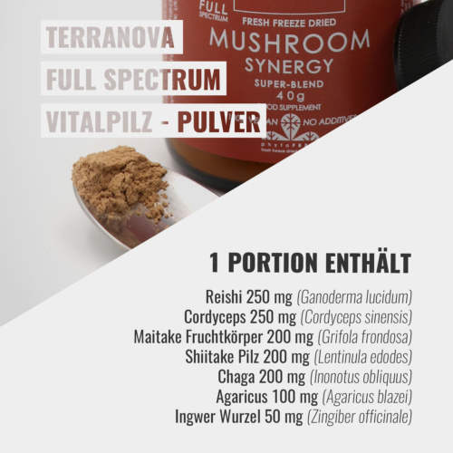 Terranova Mushroom Synergy Pulver